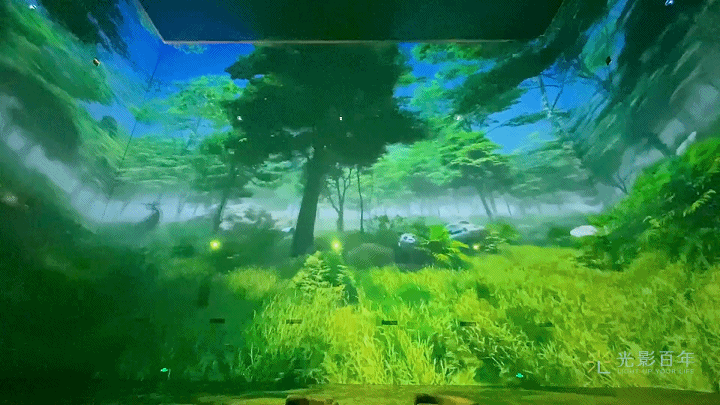 重慶萬州 櫻花渡沉浸式空間光影秀